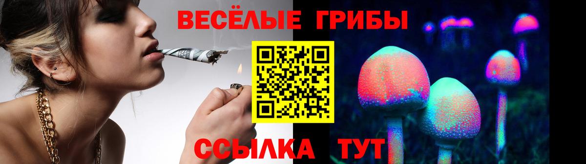 Псилоцибиновые грибы ЛСД  сколько стоит  Псилоцибиновые грибы Magic Shrooms  Карачаевск  Вход с VPN 