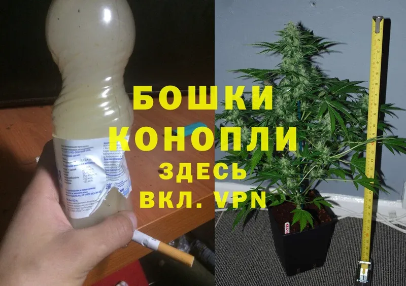 Каннабис White Widow  Карачаевск 